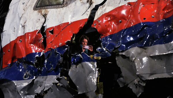 Доклад Совета безопасности Нидерландов по причинам крушения Boeing 777 - Sputnik Молдова