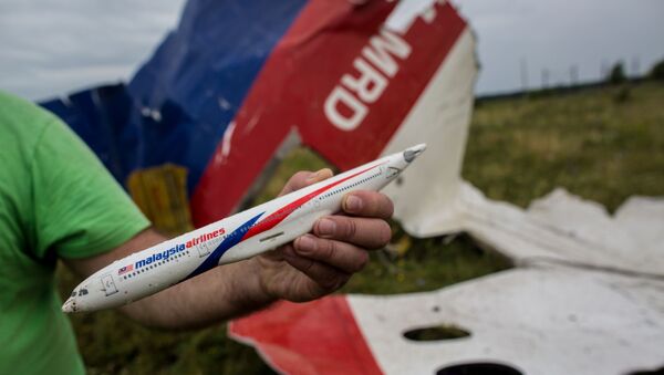 Поисковые работы на месте крушения малайзийского лайнера Boeing 777 в районе Шахтерска - Sputnik Moldova-România