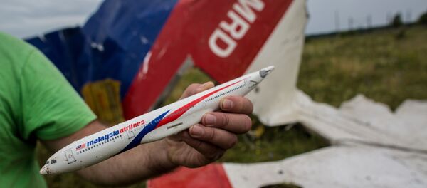 Поисковые работы на месте крушения малайзийского лайнера Boeing 777 в районе Шахтерска - Sputnik Moldova