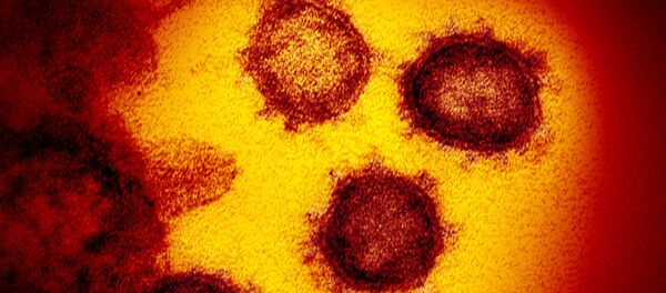 Coronavirus - Sputnik Moldova