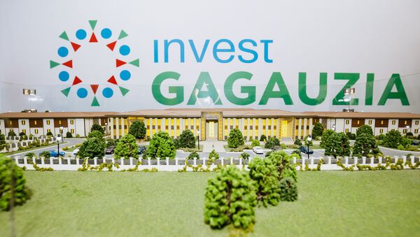 Международный инвестиционный форум Invest Gagauzia - 2020 - Sputnik Moldova