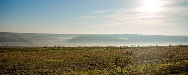 Natură  - Sputnik Moldova
