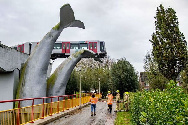 Поезд, застрявший на скульптуре Хвосты китов в голландском городе Спейкениссе - Sputnik Moldova-România