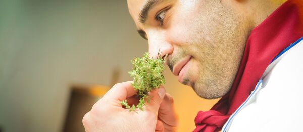 Bucătar - Sputnik Moldova-România