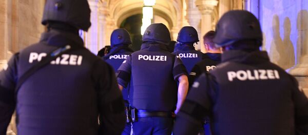 Неизвестный открыл огонь в синагоге в Вене, а затем подорвал себя, Австрия - Sputnik Moldova-România