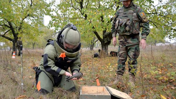 Geniștii Armatei Naționale au neutralizat obiecte explozibile - Sputnik Moldova