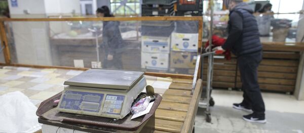 Protest în Piața Crângași din București - Sputnik Moldova-România