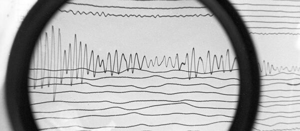 Сейсмограмма землетрясения, архивное фото Сейсмограмма землетрясения, архивное фото - Sputnik Молдова