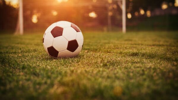 Футбольный мяч на газоне - Sputnik Молдова