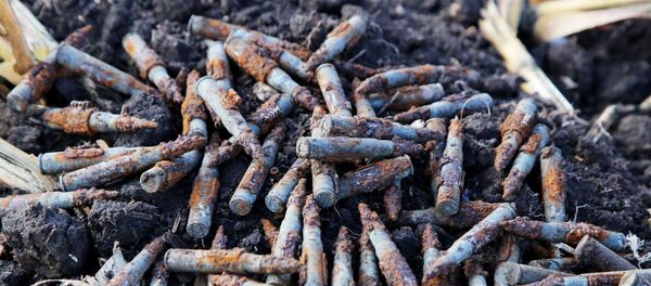 Работы по поискам останков погибших воинов ВОВ в Донецкой области - Sputnik Молдова