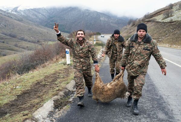 Военнослужащие армии обороны Арцаха несут овцу в городе Лачин - Sputnik Moldova-România