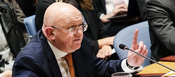 Vassili Nebenzia - Sputnik Moldova