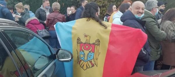 Moldovenii votează la Frankfurt - Sputnik Moldova