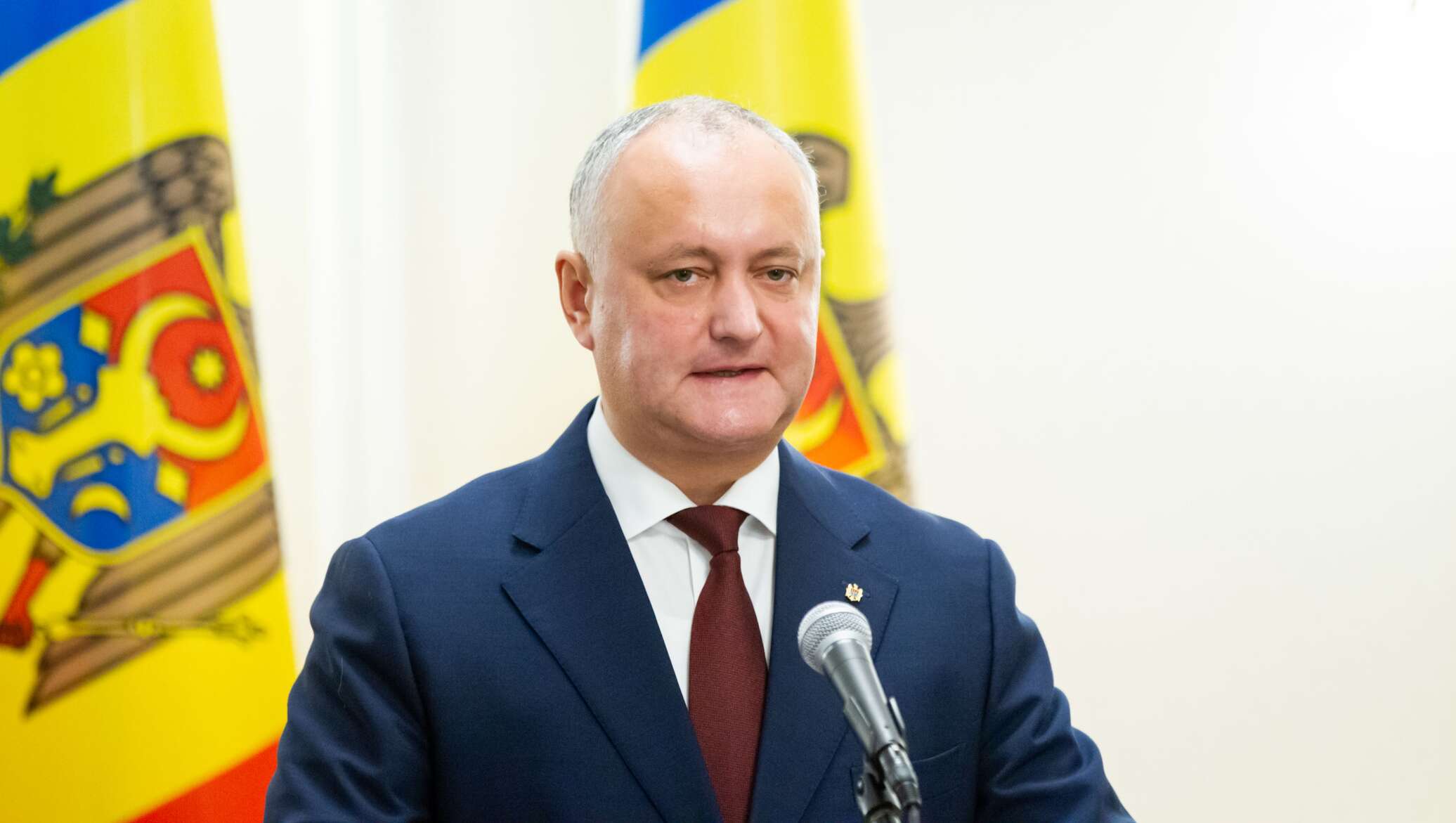 Про додона. Про додона. Про додона. Додон кричит. Додон фото.