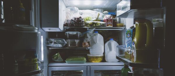 Frigo - Sputnik Moldova-România