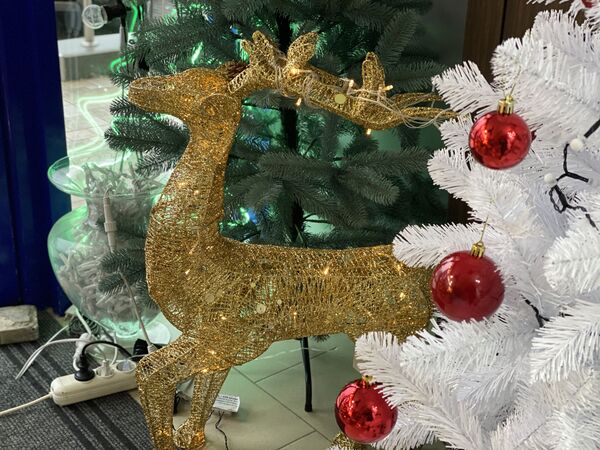 Foto: Cât costă să-ți decorezi casa pentru sărbătorile de iarnă - Sputnik Moldova