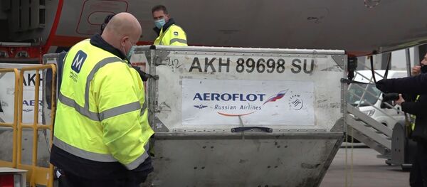 Венгрия первой в ЕС получила российскую вакцину от коронавируса “Спутник V” - Sputnik Молдова