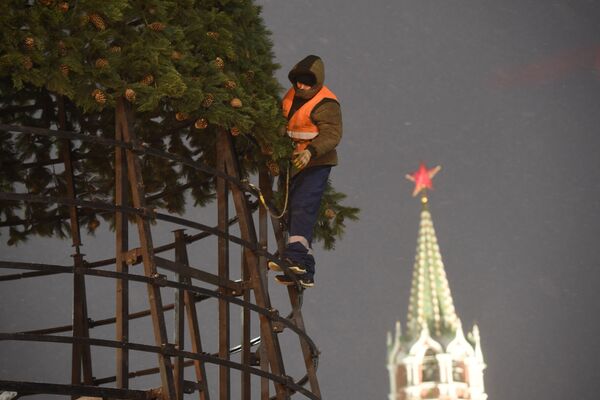 Рабочий устанавливает новогоднюю елку на Красной площади в Москве - Sputnik Moldova