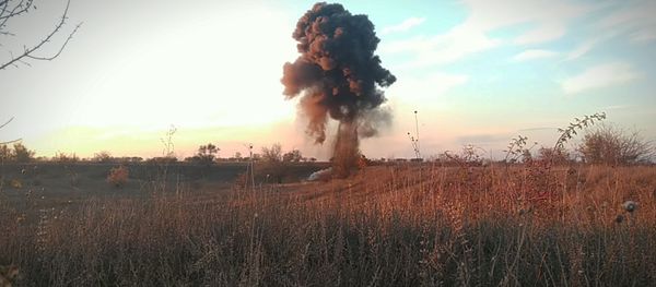 Боеприпасы времен ВОВ, найденные в Каушанах Боеприпасы времен ВОВ, найденные в Каушанах - Sputnik Молдова