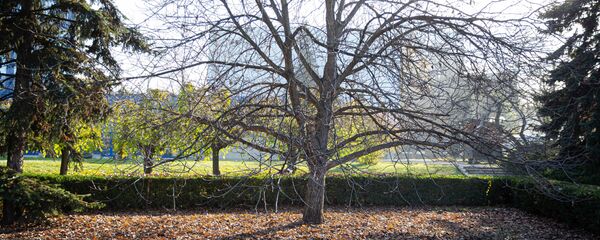 Парк - Sputnik Молдова