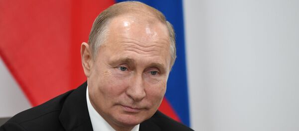 Рабочий визит президента РФ В. Путина в Японию для участия в саммите Группы двадцати - Sputnik Moldova