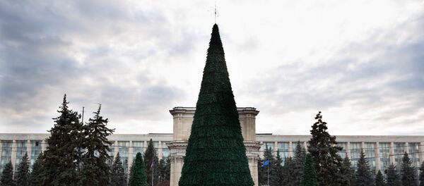 Bradul din centrul Chisinăului - Sputnik Молдова