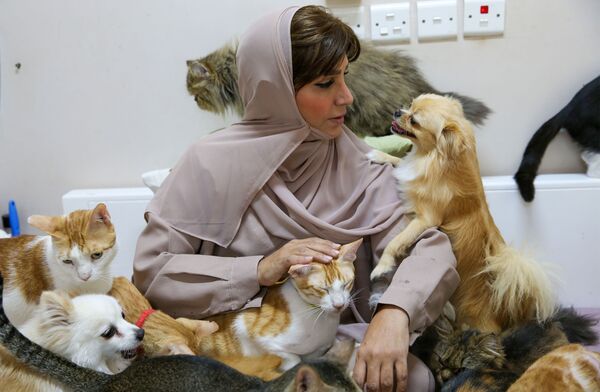 Марьям Аль Балуши гладит одну из своих кошек в своем доме в столице Омана Маскате - Sputnik Молдова