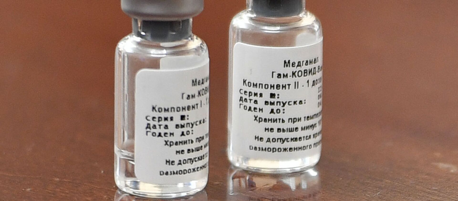 Первая в мире зарегистрированная вакцина от коронавируса COVID-19 Спутник V - Sputnik Moldova, 1920, 08.02.2021