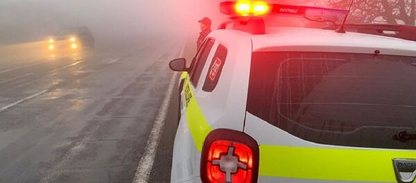 Inspectoratul Național de Patrulare - Sputnik Moldova