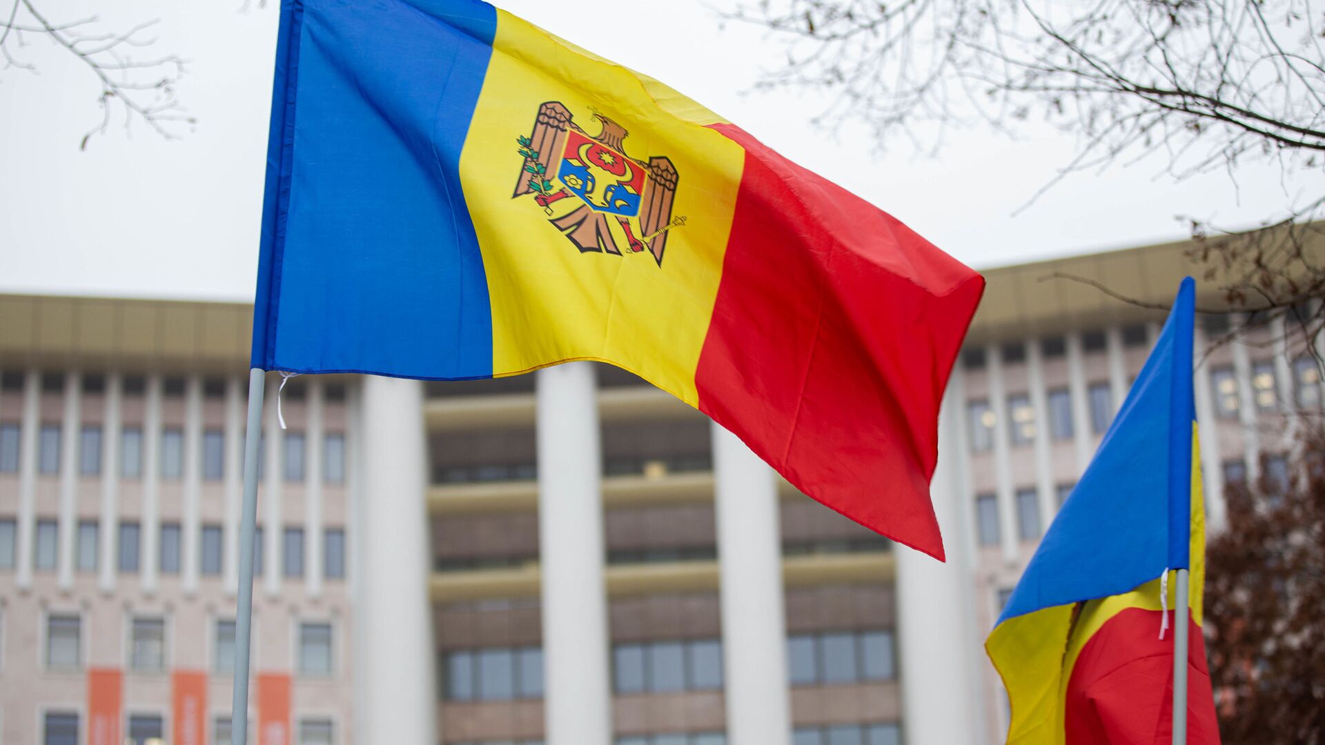 Флаг Молдовы на фоне здания парламента  - Sputnik Молдова, 1920, 10.03.2021