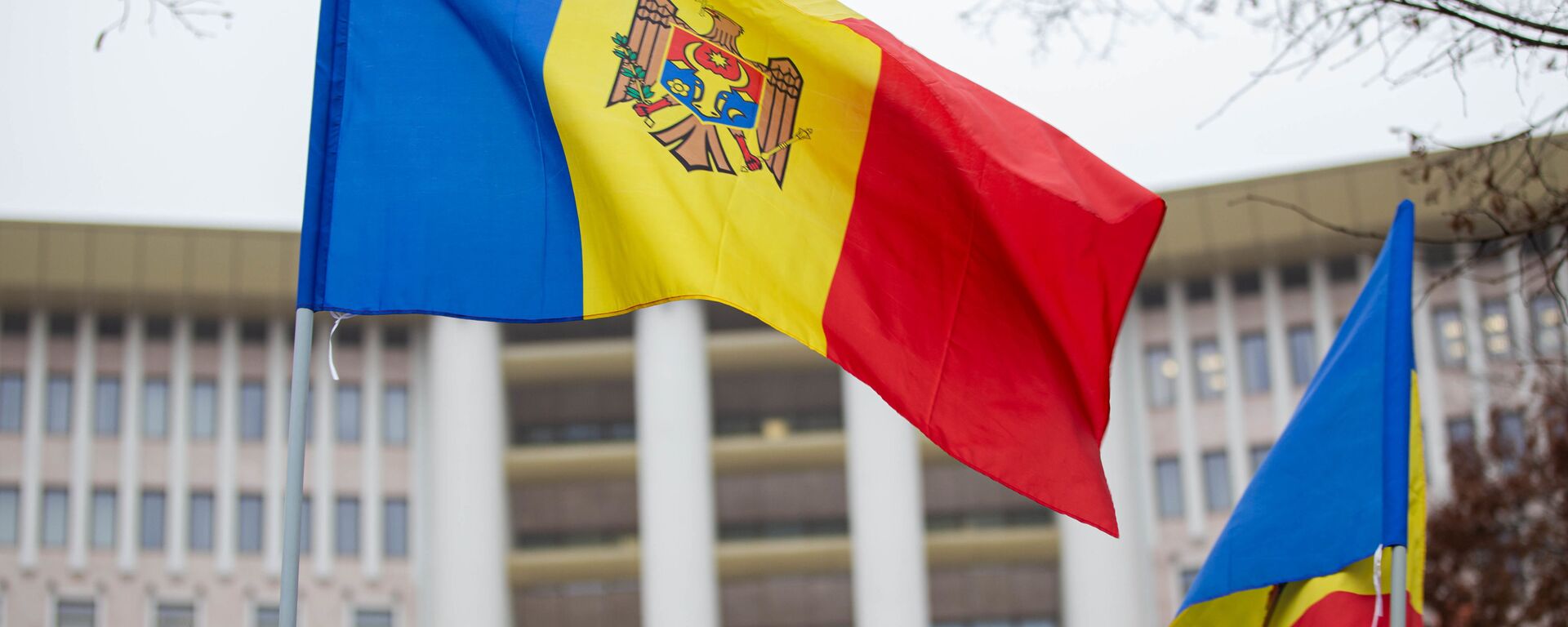 Флаг Молдовы перед зданием парламента - Sputnik Молдова, 1920, 25.02.2021