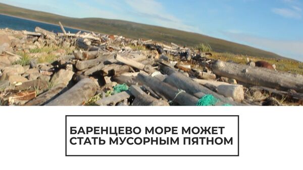 Мусорное пятно вместо Баренцева моря: как волонтеры спасают экосистему - Sputnik Moldova-România