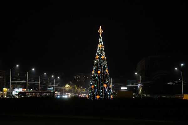 Новогодние елки 2020 - Sputnik Moldova