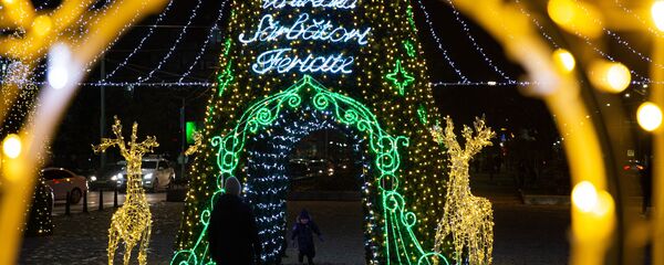 Новогодние елки 2020 - Sputnik Moldova