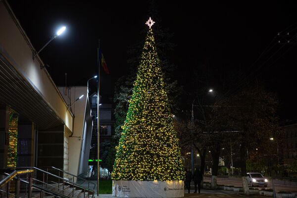 Новогодние елки 2020 - Sputnik Moldova