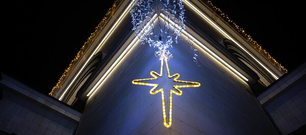 Новогодние елки 2020 Новогодние елки 2020 - Sputnik Moldova