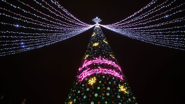 Pom de Crăciun - Sputnik Moldova