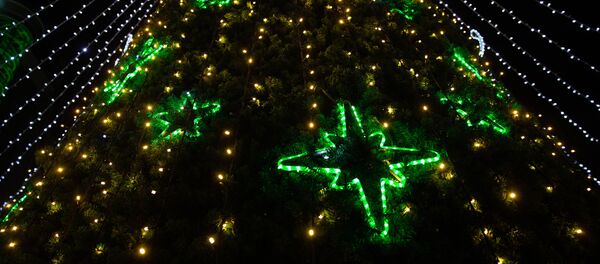 Новогодние елки 2020 - Sputnik Молдова