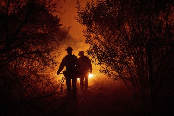 Пожарные борются с лесным пожаром в округе Ориндж, Калифорния - Sputnik Молдова