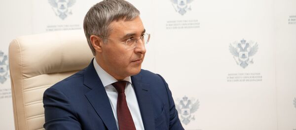 Министр науки и высшего образования РФ Валерий Фальков - Sputnik Молдова