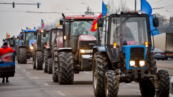Протест молдавских фермеров - Sputnik Молдова