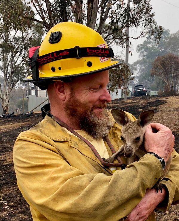 In this Jan. 5, 2020, photo provided by the United States Department of Agriculture Forest Service, Lake Tahoe Basin Management Unit Capt. Dave Soldavini holds a baby kangaroo that was rescued from a wildfire, in Cobrunga, Australia. The U.S. is planning to send at least 100 more firefighters to Australia to join 159 already there battling blazes that have killed 25 people and destroyed 2,000 homes. - Sputnik Молдова