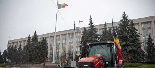 Протест аграриев в Кишиневе у правительства - Sputnik Moldova