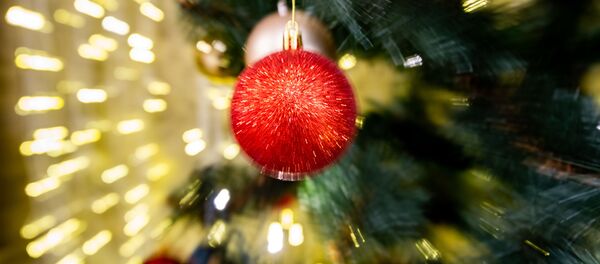 Новогодняя елка Новогодняя елка - Sputnik Moldova