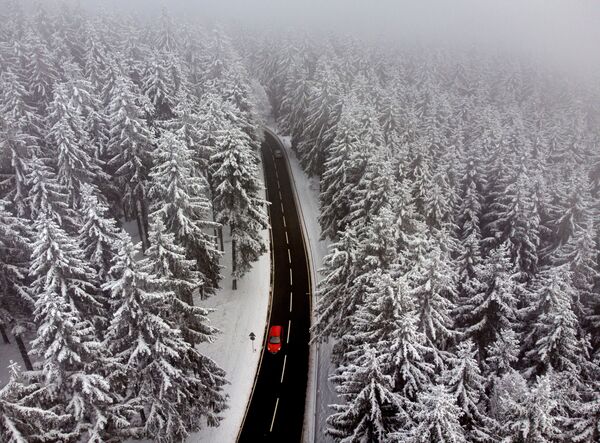 Автомобиль на ведущей сквозь заснеженный лес дороге недалеко от Франкфурта, Германия  - Sputnik Молдова