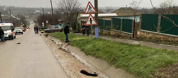 Un șofer beat a lovit mortal o femeie  - Sputnik Moldova