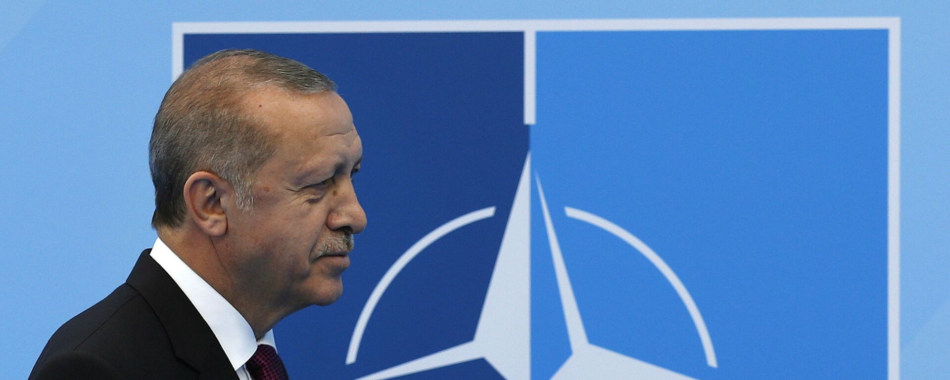 Президент Турции Реджеп Тайип Эрдоган на саммите НАТО в Брюсселе - Sputnik Молдова, 1920, 26.01.2023
