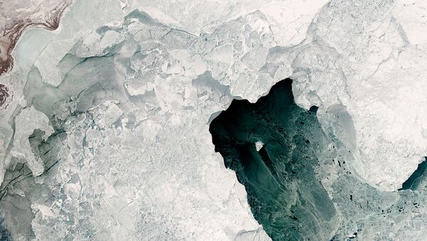 Разнообразие типов льда, которые могут образовываться в северной части Каспийского моря - Sputnik Молдова