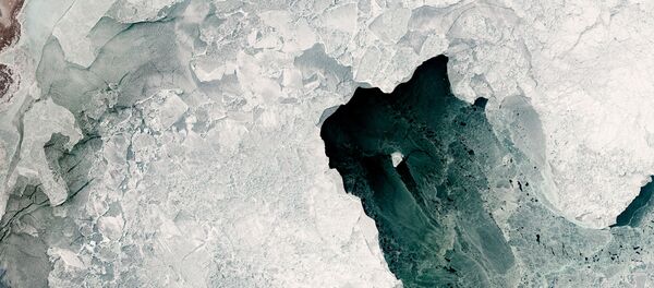Разнообразие типов льда, которые могут образовываться в северной части Каспийского моря - Sputnik Молдова