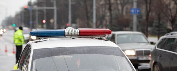 Полицейская мигалка Полицейская мигалка - Sputnik Moldova